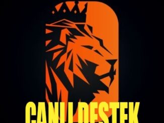 bahislion canlı destek