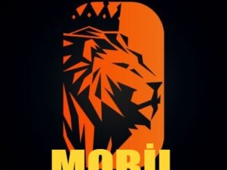 bahislion mobil