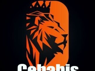 cebahis